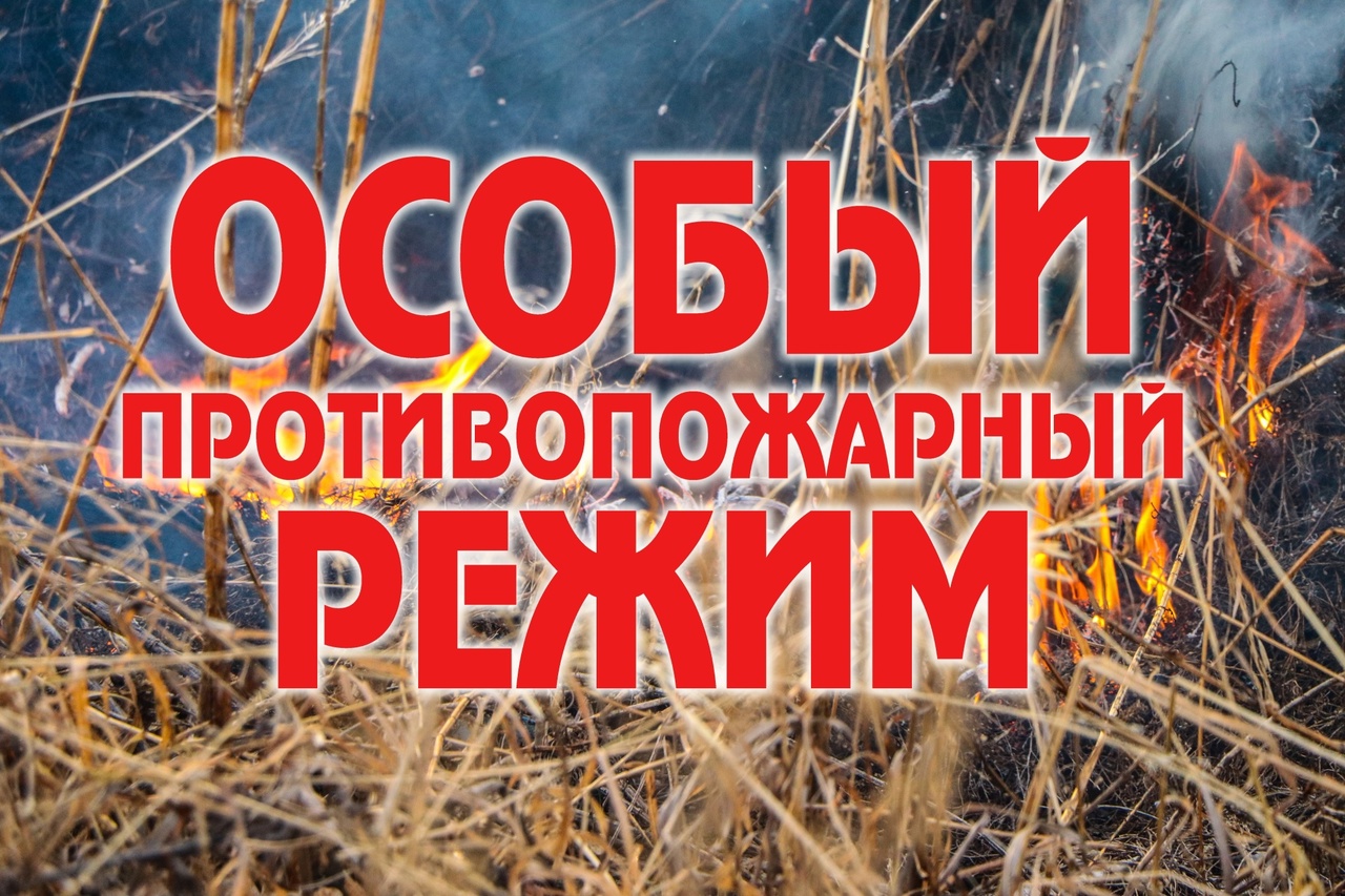 На территории области продлен особый противопожарный режим.