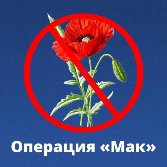 Операция "Мак - 2025". Операция "Мак - 2025".