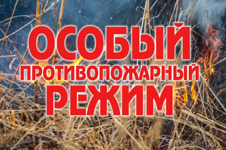 На территории области продлен особый противопожарный режим. На территории области продлен особый противопожарный режим.